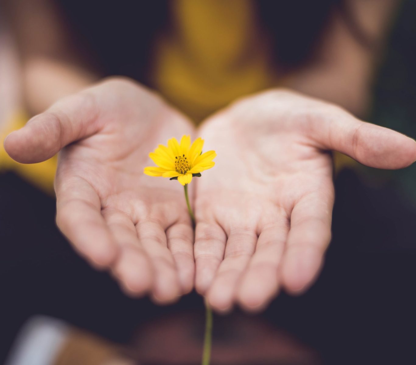 Bereaved Mums | Mother's Day Connect Group